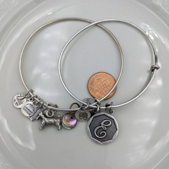 Alex and Ani Rafaleian Silver Dog Int. E Bracelets - Picture 2 of 8